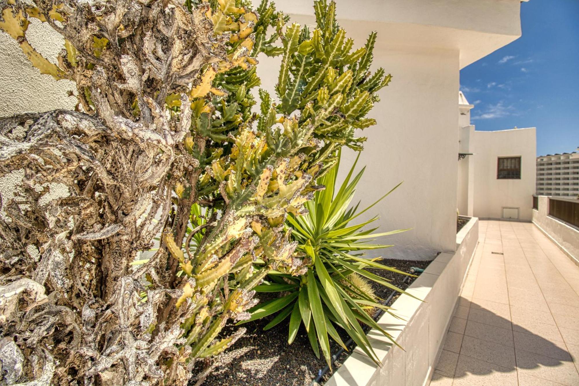 Apartamento Penthouse Sea View Jacuzzy Terrace & Pool Playa Feñabe Exterior foto