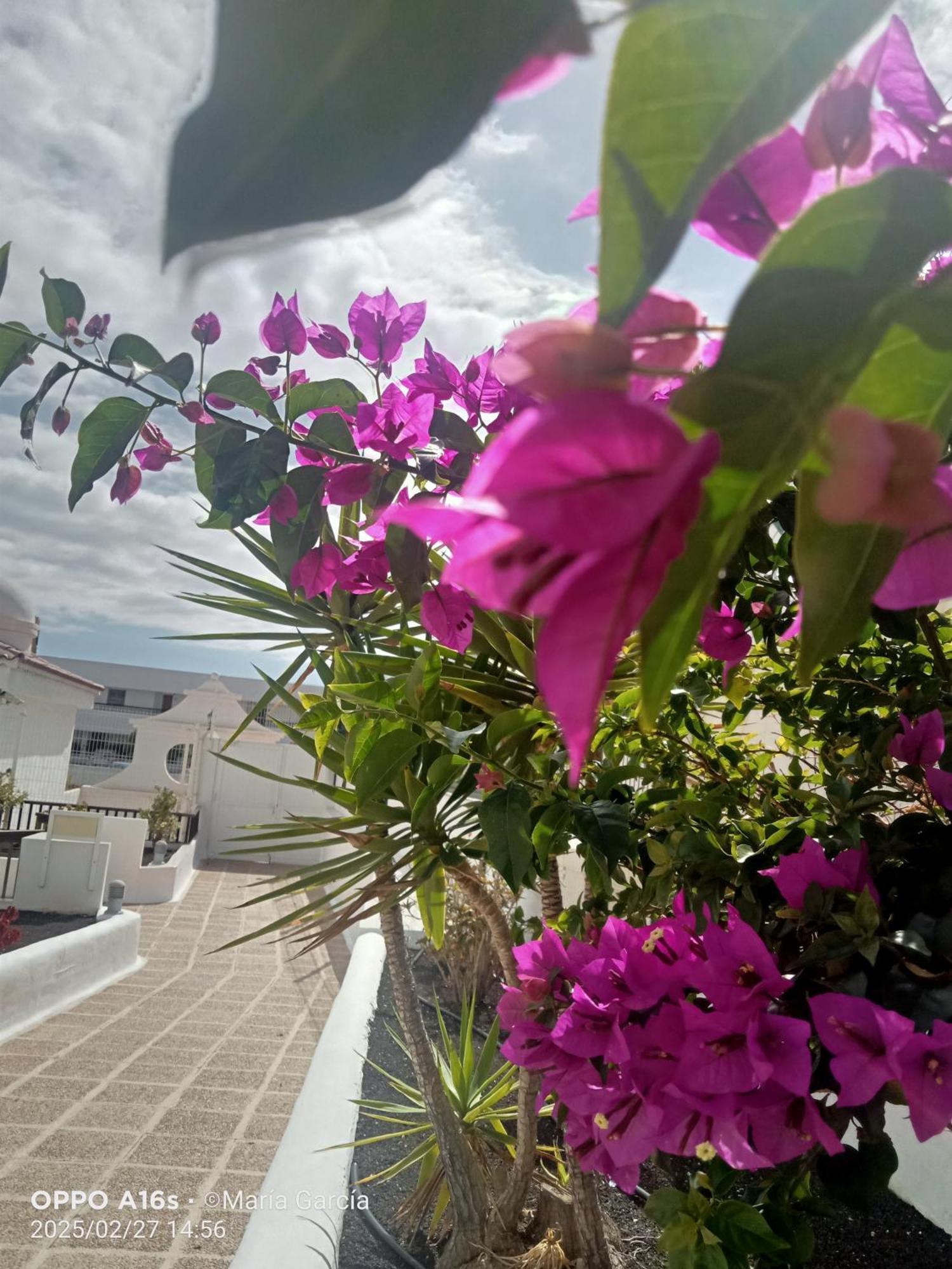 Apartamento Penthouse Sea View Jacuzzy Terrace & Pool Playa Feñabe Exterior foto